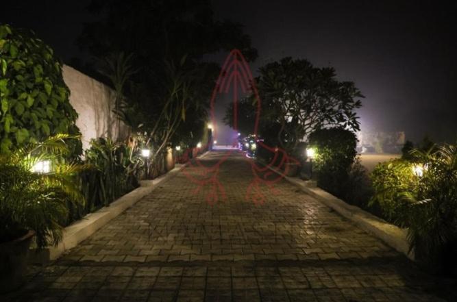 Luxury Farmhouse In Chhatarpur With Pool Új-Delhi Kültér fotó